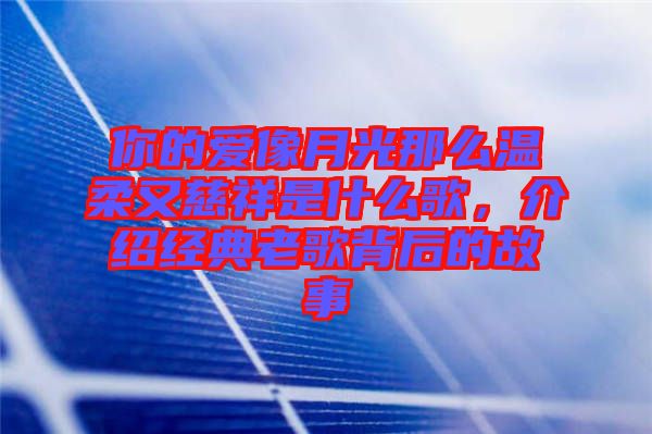你的愛像月光那么溫柔又慈祥是什么歌,介紹經典老歌背后的故事