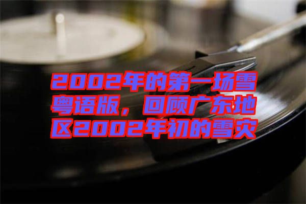 2002年的第一場雪粵語版,回顧廣東地區2002年初的雪災