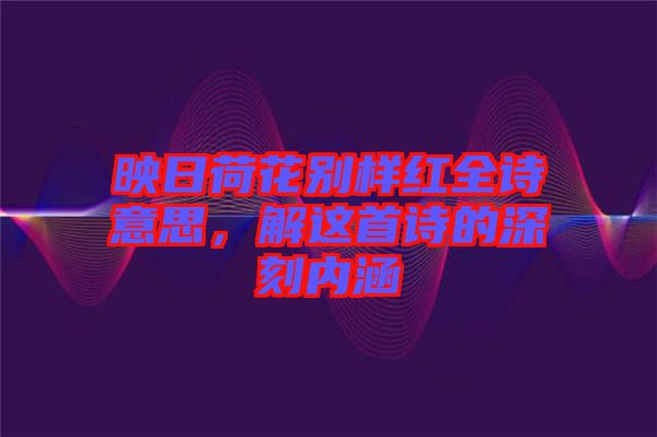 映日荷花別樣紅全詩意思,解這首詩的深刻內涵