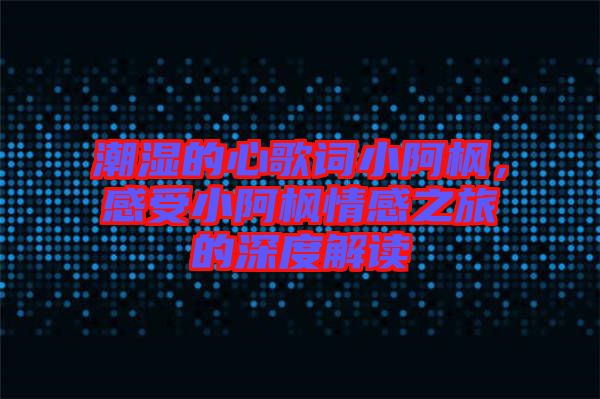 潮濕的心歌詞小阿楓，感受小阿楓情感之旅的深度解讀