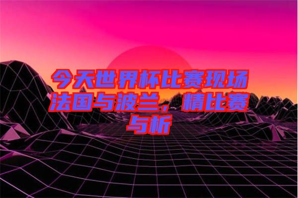 今天世界杯比賽現場法國與波蘭,精比賽與析