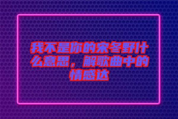 我不是你的宋冬野什么意思,解歌曲中的情感達