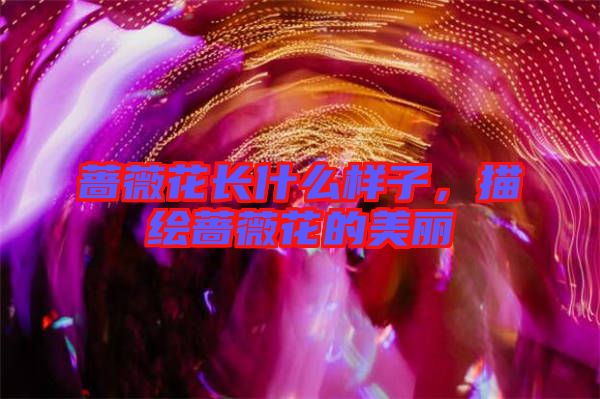 薔薇花長(zhǎng)什么樣子,描繪薔薇花的美麗