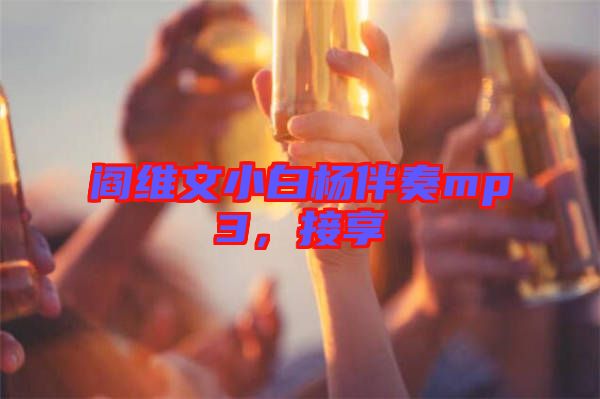 閻維文小白楊伴奏mp3，接享