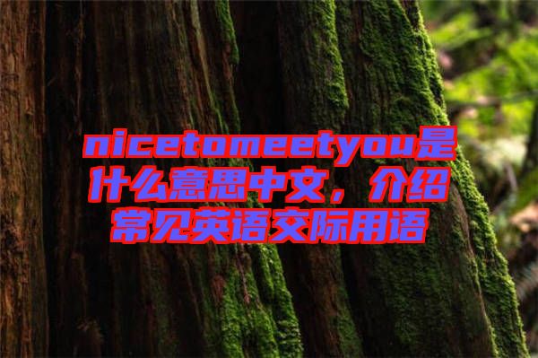 nicetomeetyou是什么意思中文,介紹常見英語交際用語