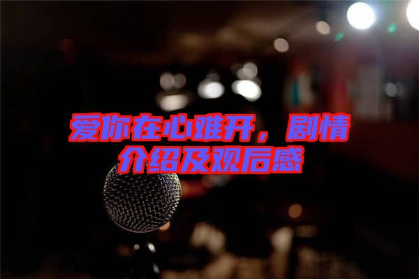 愛你在心難開，劇情介紹及觀后感