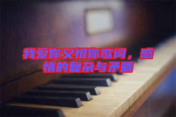 我愛你又恨你歌詞,感情的復(fù)雜與矛盾