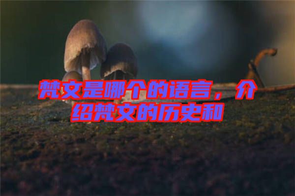 梵文是哪個的語言，介紹梵文的歷史和