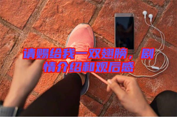 請賜給我一雙翅膀,劇情介紹和觀后感