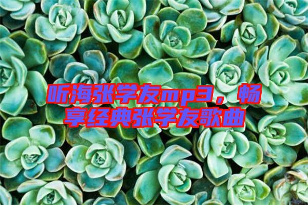 聽海張學(xué)友mp3,暢享經(jīng)典張學(xué)友歌曲