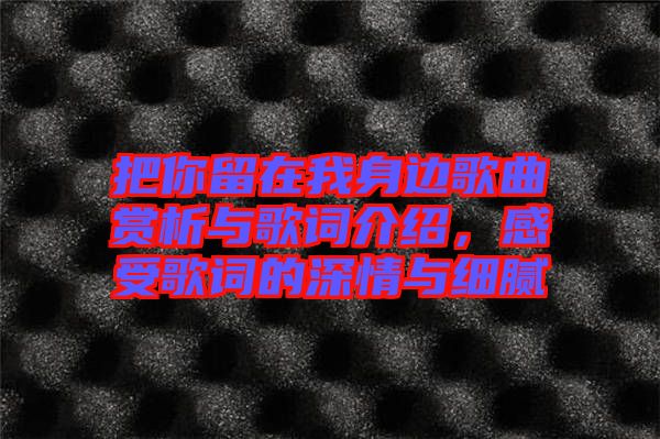 把你留在我身邊歌曲賞析與歌詞介紹,感受歌詞的深情與細膩