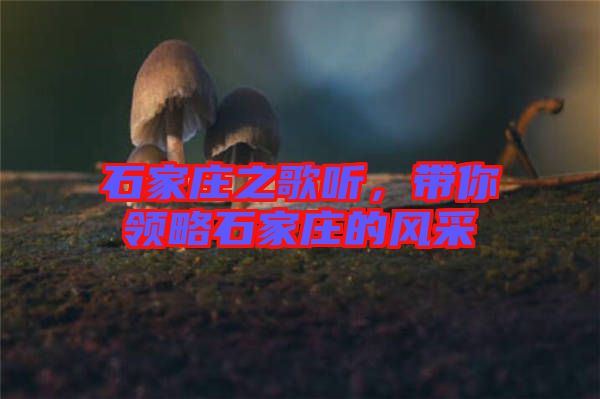 石家莊之歌聽,帶你領略石家莊的風采