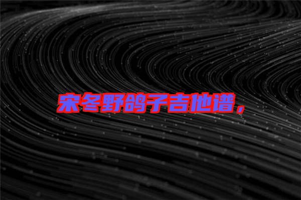 宋冬野鴿子吉他譜，