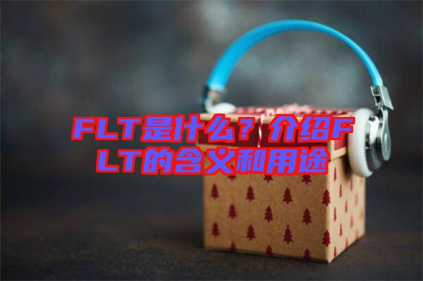 FLT是什么？介紹FLT的含義和用途