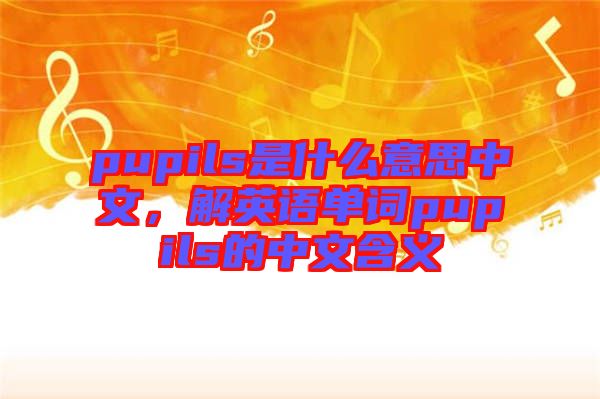 pupils是什么意思中文，解英語單詞pupils的中文含義