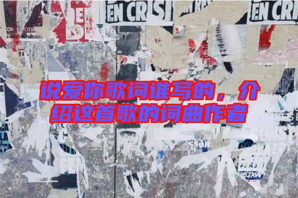 說(shuō)愛(ài)你歌詞誰(shuí)寫(xiě)的,介紹這首歌的詞曲作者