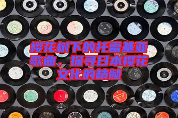 櫻花樹下的托雷基亞歌曲，探尋日本櫻花文化的精髓