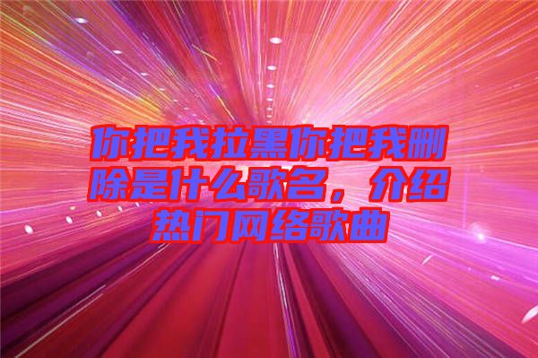 你把我拉黑你把我刪除是什么歌名,介紹熱門網絡歌曲