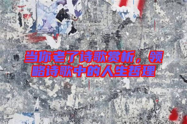 當你老了詩歌賞析，領略詩歌中的人生哲理