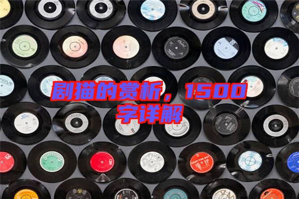劇貓的賞析,1500字詳解