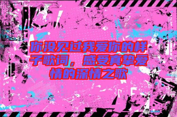 你沒見過我愛你的樣子歌詞,感受真摯愛情的深情之歌