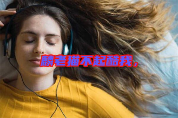 麟老貓不起酷我,