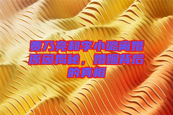 賈乃亮和李小璐離婚原因揭秘，婚姻背后的真相