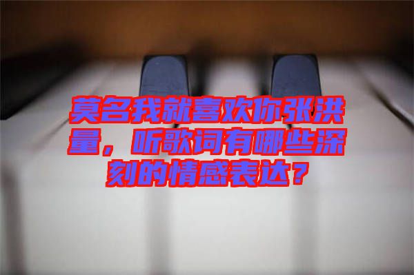 莫名我就喜歡你張洪量，聽歌詞有哪些深刻的情感表達(dá)？