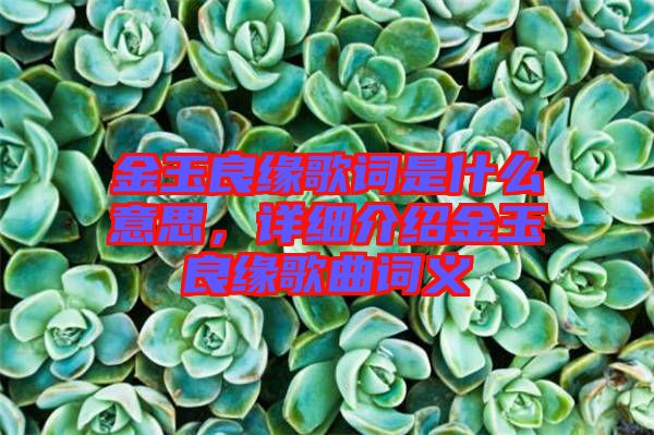 金玉良緣歌詞是什么意思，詳細介紹金玉良緣歌曲詞義