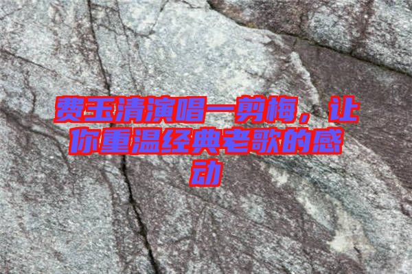 費玉清演唱一剪梅,讓你重溫經典老歌的感動