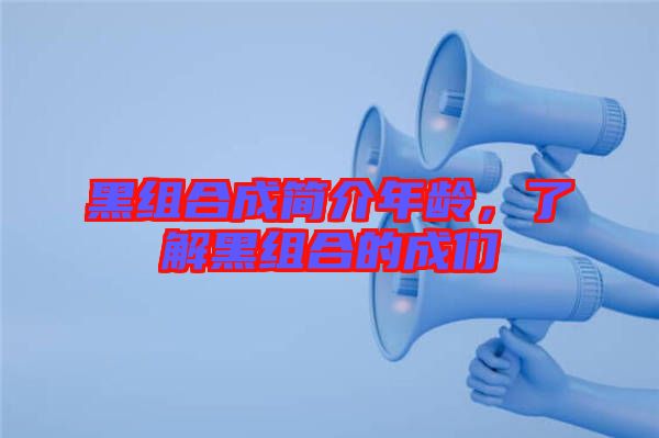 黑組合成簡介年齡，了解黑組合的成們