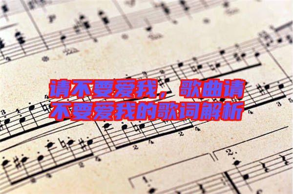 請不要愛我，歌曲請不要愛我的歌詞解析