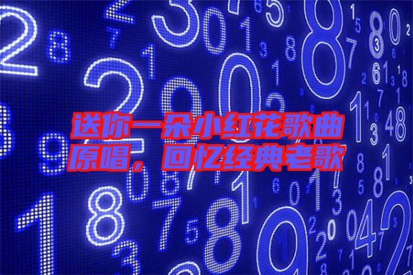 送你一朵小紅花歌曲原唱,回憶經(jīng)典老歌