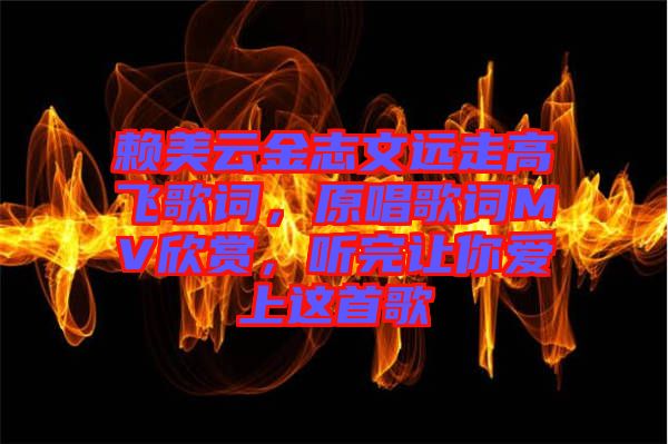 賴美云金志文遠走高飛歌詞,原唱歌詞MV欣賞,聽完讓你愛上這首歌