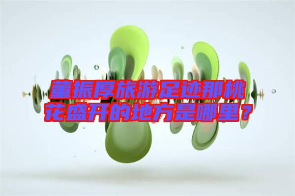 董振厚旅游足跡那桃花盛開的地方是哪里?