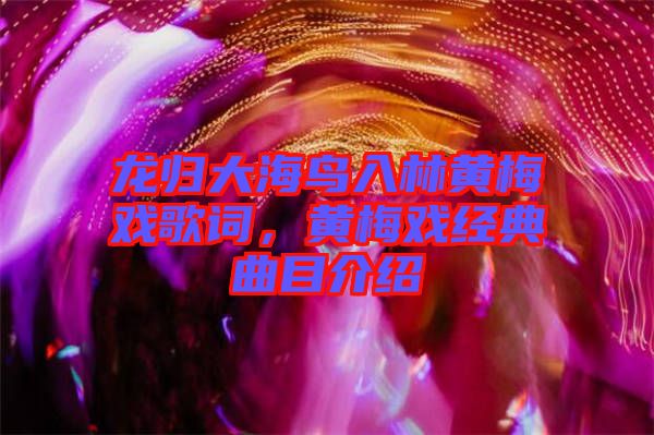 龍歸大海鳥入林黃梅戲歌詞,黃梅戲經(jīng)典曲目介紹