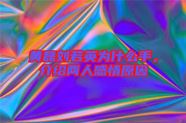黃磊劉若英為什么手,介紹兩人感情原因