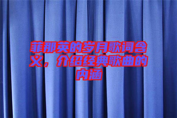 菲那英的歲月歌詞含義,介紹經典歌曲的內涵