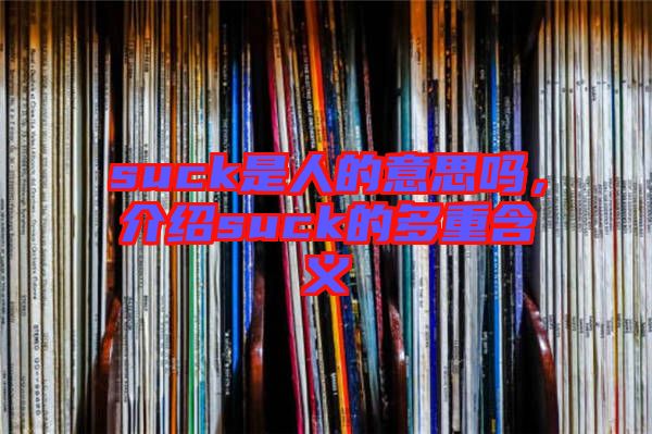 suck是人的意思嗎,介紹suck的多重含義