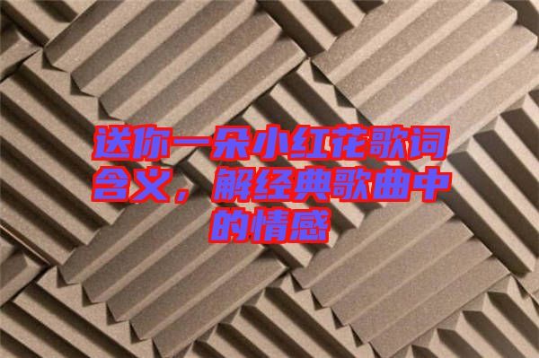 送你一朵小紅花歌詞含義,解經典歌曲中的情感