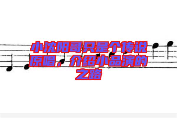 小沈陽(yáng)哥只是個(gè)傳說(shuō)原唱，介紹小品演的之路