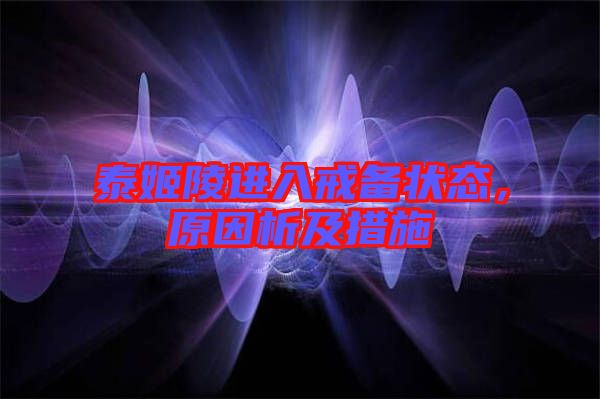 泰姬陵進(jìn)入戒備狀態(tài),原因析及措施