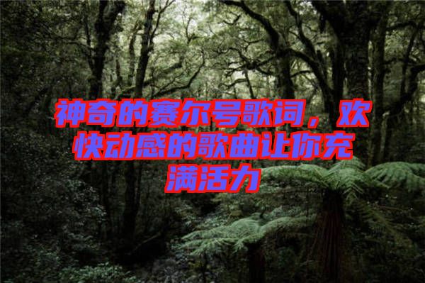 神奇的賽爾號歌詞,歡快動感的歌曲讓你充滿活力