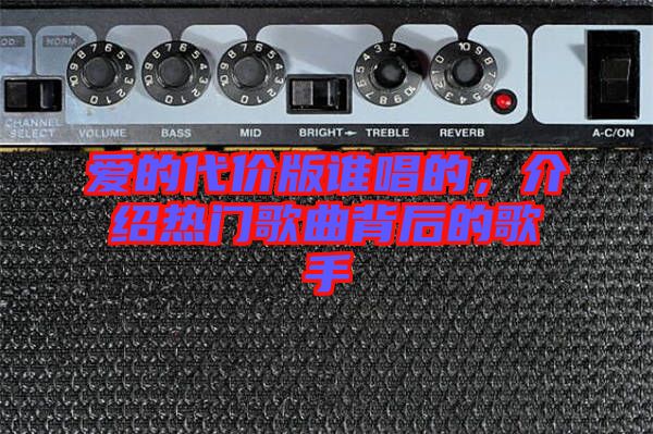 愛的代價版誰唱的,介紹熱門歌曲背后的歌手
