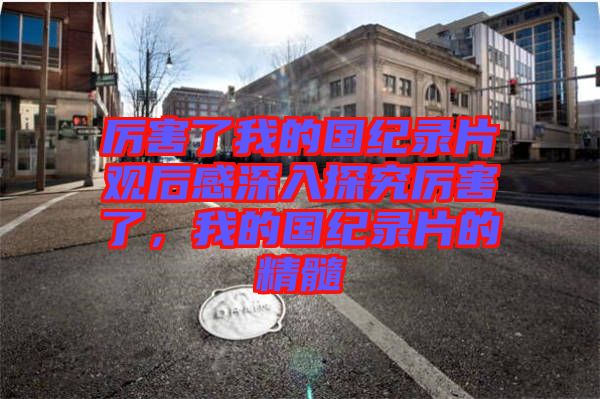 厲害了我的國紀錄片觀后感深入探究厲害了，我的國紀錄片的精髓