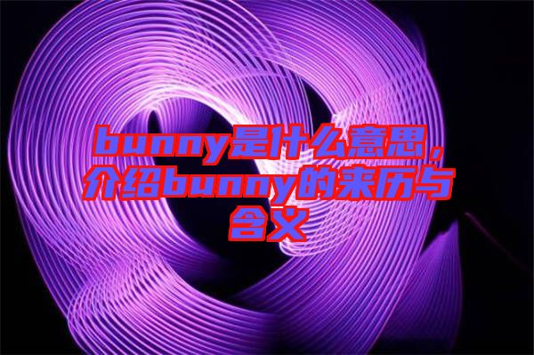 bunny是什么意思,介紹bunny的來(lái)歷與含義
