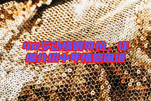 40歲動情很可怕，詳細介紹中年情感困境