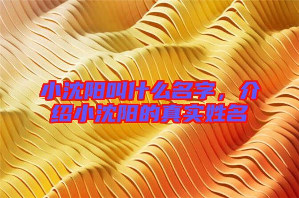 小沈陽(yáng)叫什么名字,介紹小沈陽(yáng)的真實(shí)姓名