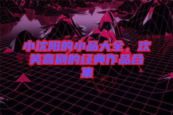 小沈陽的小品大全,歡笑喜劇的經(jīng)典作品合集