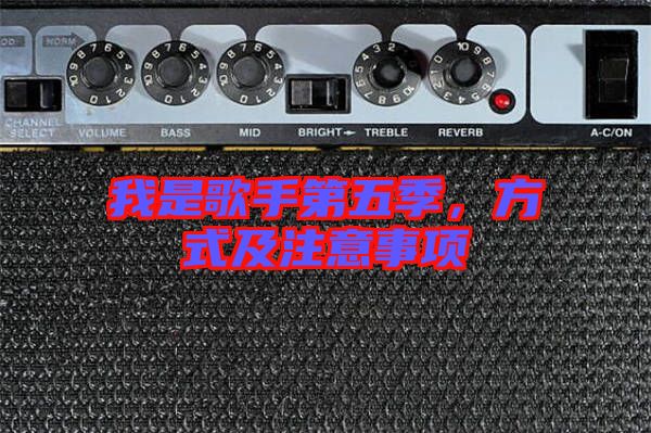 我是歌手第五季，方式及注意事項